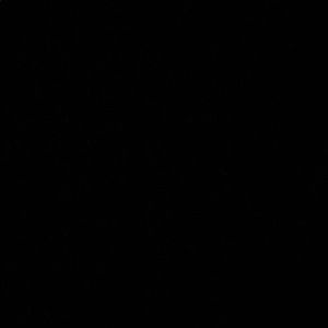 Meet your Posher, Anothony